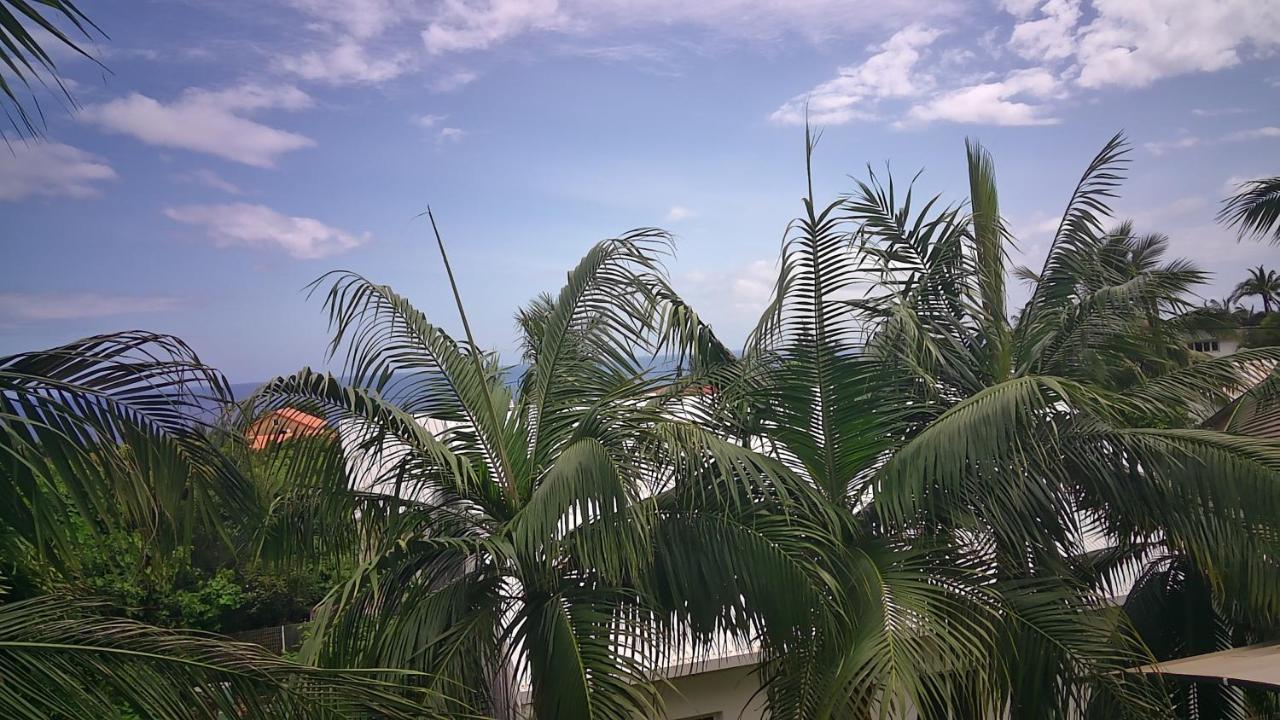 Un Petit Coin De Paradis A La Reunion Saint-Joseph Εξωτερικό φωτογραφία