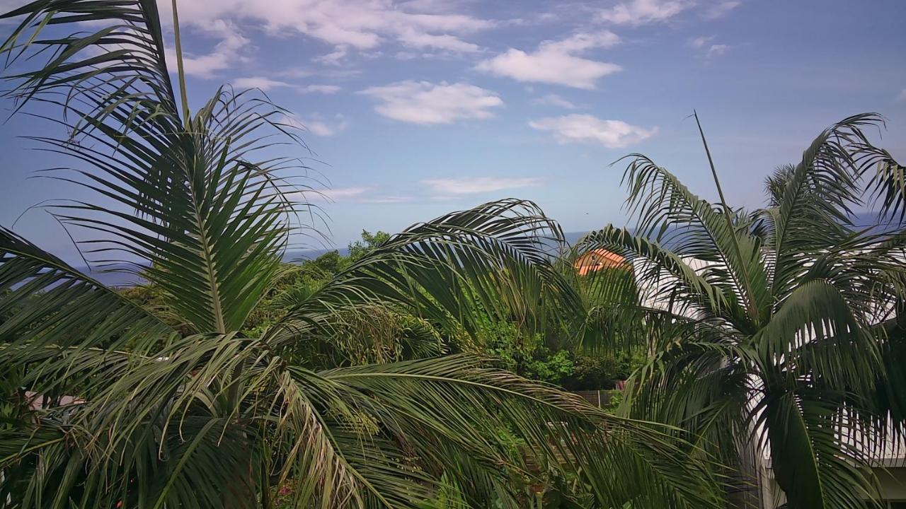 Un Petit Coin De Paradis A La Reunion Saint-Joseph Εξωτερικό φωτογραφία